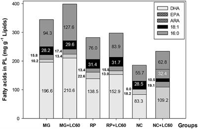 Effect of Short-Term Rotifer Enrichment With Marine Phospholipids on Growth, Survival, and Composition of Meager (Argyrosomus regius) Larvae